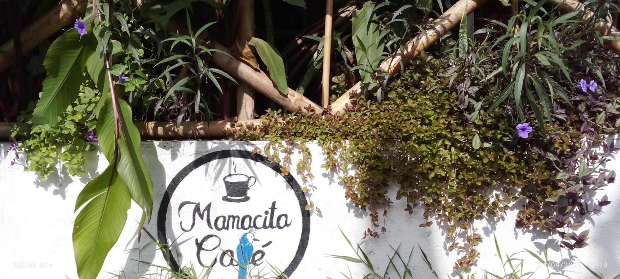 Hotel Mamacita Cafe House Moyogalpa Esterno foto